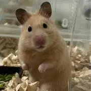 じぇい★の画像