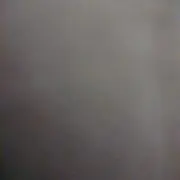ようなし