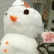 ゆきの画像