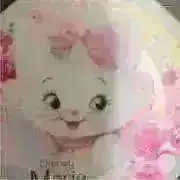 しろちゃんの画像