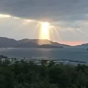 ミクリ