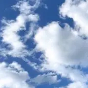 Yの画像