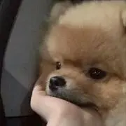 みの画像
