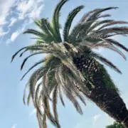 あお　★自己紹介を必ずお読みください★の画像