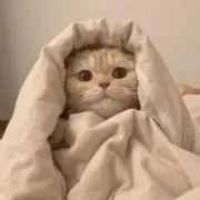 ゆいの画像