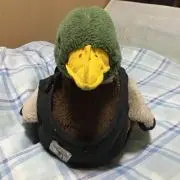 ジャッキーの画像