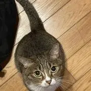 わゆわゆ