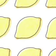 sacoの画像