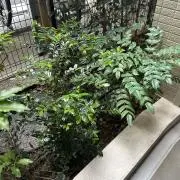 Hakumiee☆即購入大歓迎☆の画像