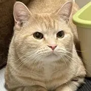 じゅんぺろり