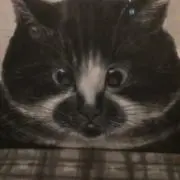 にゃン