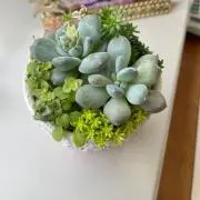アーちゃん
