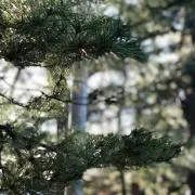 rw21の画像