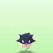 Hanaの画像