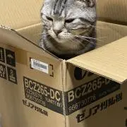 りーまの画像