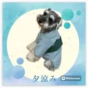 ココモコの画像