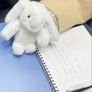ぴこの画像