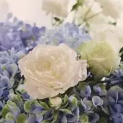 きよみんの画像