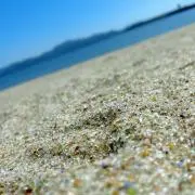 37の画像