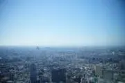 やぎの画像