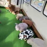 ひろかの画像