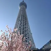 miku☆の画像