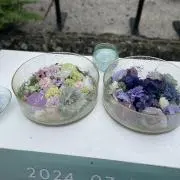 あおいき