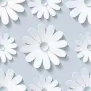 boraの画像