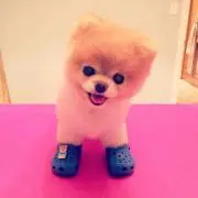 おゆ