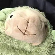 かぁさんの画像