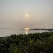 ぽんちょの画像