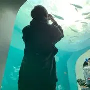 しんや