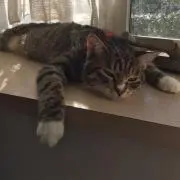あき
