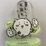しゃちのすけの画像