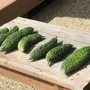 Sora  Hの画像