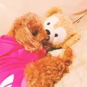 もずく