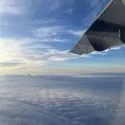 ケロッピの画像