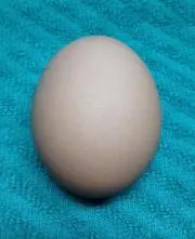 いとの画像