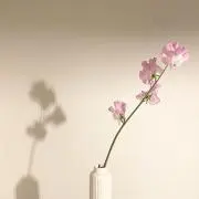 かりんとう♩⭐︎の画像