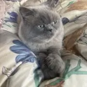m EQの画像