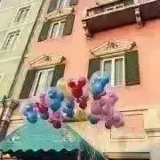 さくらの画像