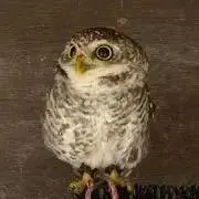 福郎★プロフ必読★の画像