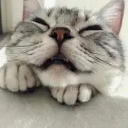 poteto