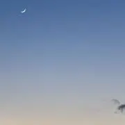 り