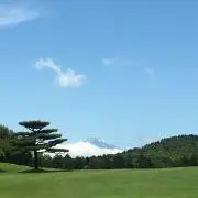 南天の画像