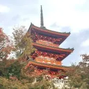 tyunta