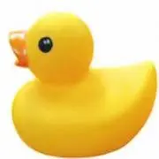 Takekoの画像