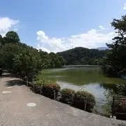 ひつじの画像