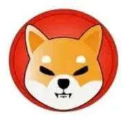 ⭐️SHIBA⭐️値引き交渉大歓迎⭐️の画像