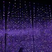 椿_tsubakiiiii